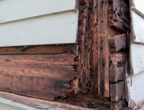 Unmasking Wall Decay: How to Spot Hidden Rot Beneath Your Siding Before Winter